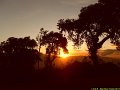 Magnifique Tanzanie-193